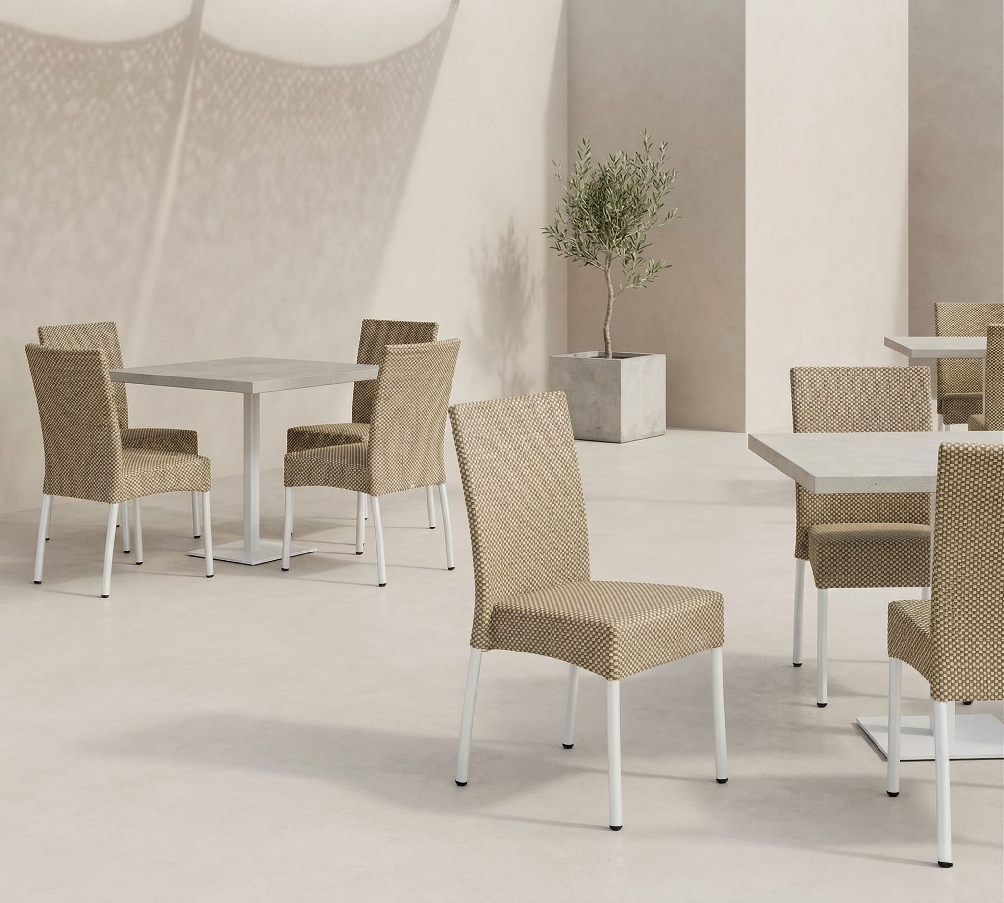 Silla Tundra
